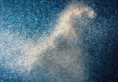 Photo of krill and plankton in the sea, macro detail Photo of krill and plankton in the sea, macro detail